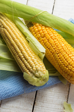 Fresh corn on wooden background