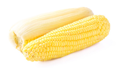 Fresh corn vegetable