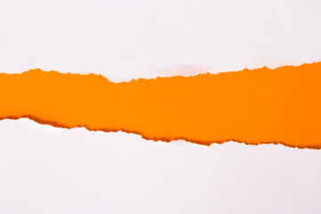 Ripped Paper
