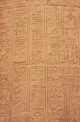 Ancient hieroglyphics on the wall of Philae Temple