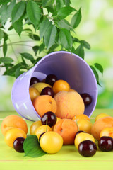 Bright summer fruits in pail