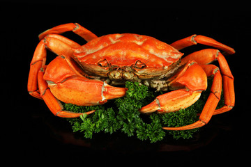 Boiled crab isolated on black