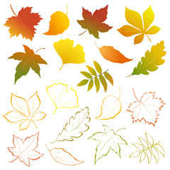 Falling leaves set