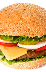 hamburger