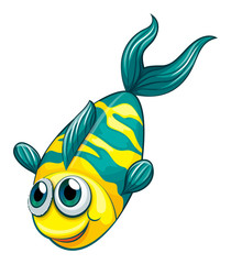 An aquatic fish