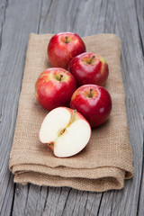 Fresh harvest of apples