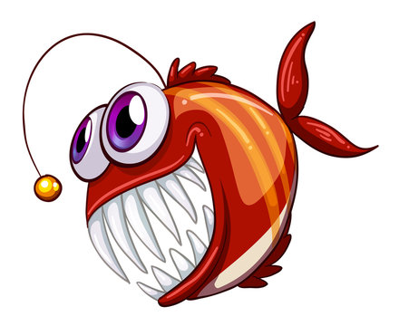 An ugly angry fish