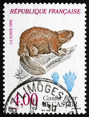 Postage stamp France 1991 European Beaver, Animal