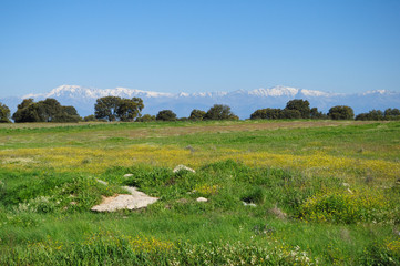 landscape grass and snow mountain