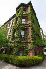 Obraz na płótnie Canvas Nice building with plants in Madison Avenue, New York, USA
