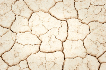 cracked ground texture