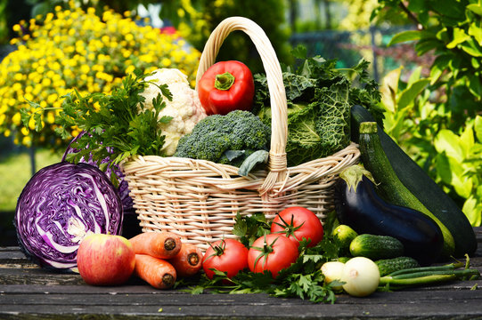 Fresh organic vegetables in the garden