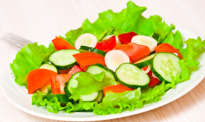 fresh vegetable salad on plate