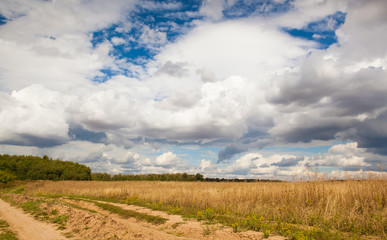 Obraz premium Country road