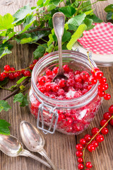 sugared red currant