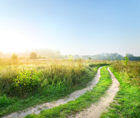 Road in the field