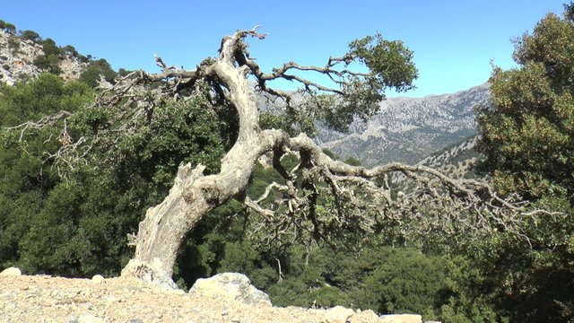 paysage de cr&ecirc;te