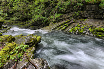 flowing water in the gorge