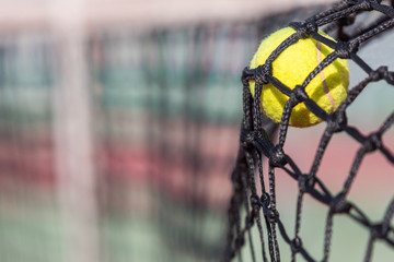 Tennis Ball on the Net