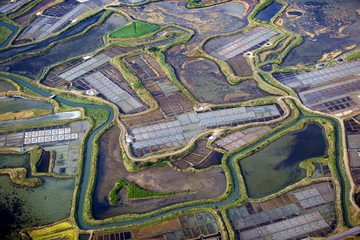 Obraz premium marais salants de Guérande vu du ciel
