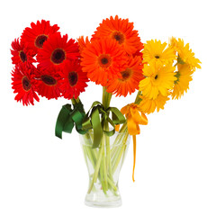 Obraz premium gerbera flowers bouquets in vase