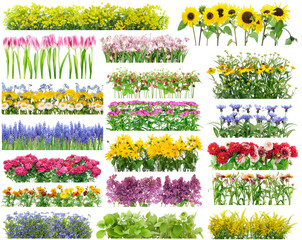 Summer flowers borders set - Powered by Adobe