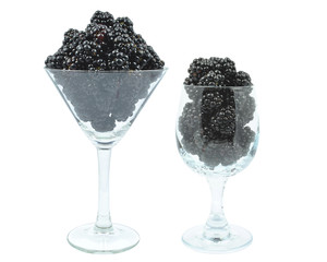 czernice © slawek_zelasko