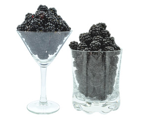 czernice © slawek_zelasko