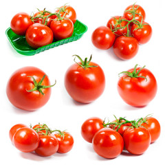 Fresh tomatoes set. Tomatoes on white background.
