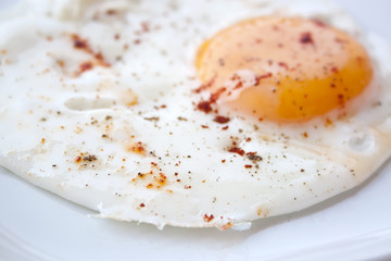 Egg