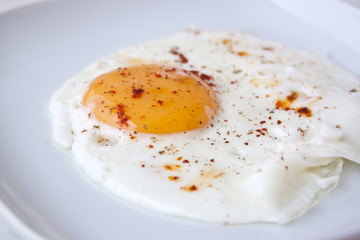 Egg
