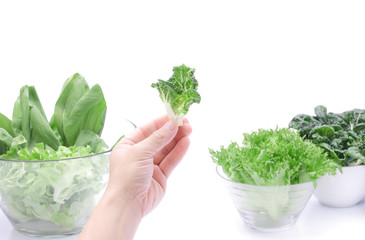 Hand picked vegetables