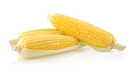 Fresh Corn on the Cob Isolated on White Background