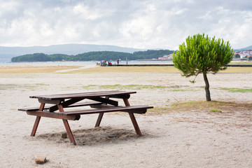 Fototapeta na wymiar Table and pine on the beach