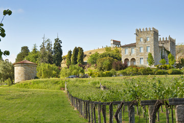 Bayon Palace vineyards