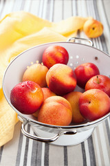 fresh nectarines and plums in colander