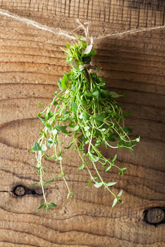 thyme hanging on a rope