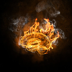 Human brain in fire