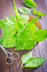 basil