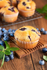 Blueberry muffins
