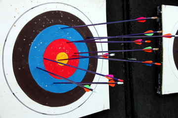Target archery and Many arrow.