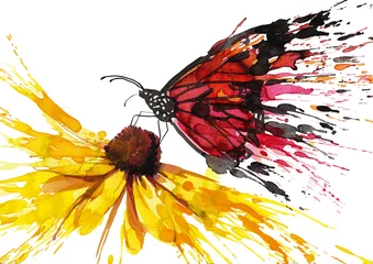 Crédence de cuisine en verre imprimé Peintures Papillon sur la fleur