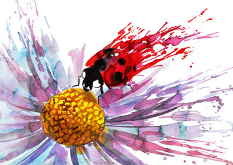 ladybug on flower © okalinichenko