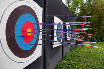 Target archery and Many arrow.