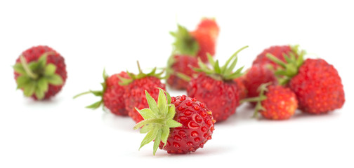 Wild strawberry isolated on white background