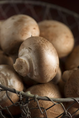 Champignons im Korb