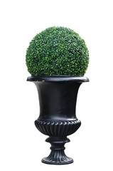 A modern plant pot isolated, clipping path included