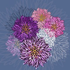 Abstract aster flower pattern