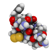 Desmopressin drug, synthetic replacement of vasopressin hormone