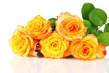 Beautiful bouquet of roses isolated on white